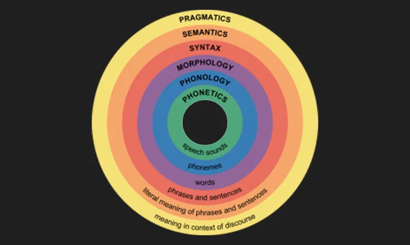 Diagram of the levels of psycholinguistics, from phonetics to pragmatics